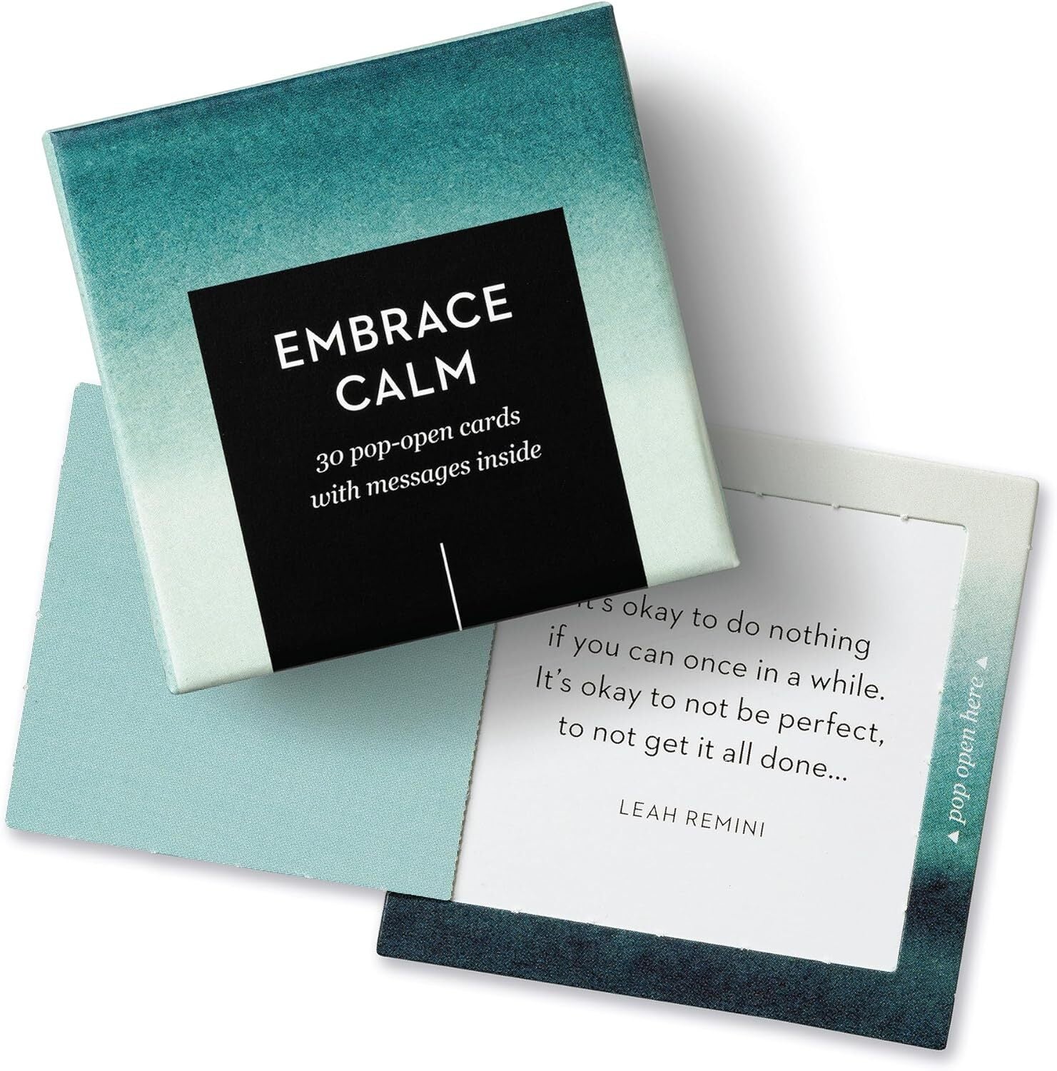 Box Mini Message : Embrace Clam | The Artistic Flip Flop
